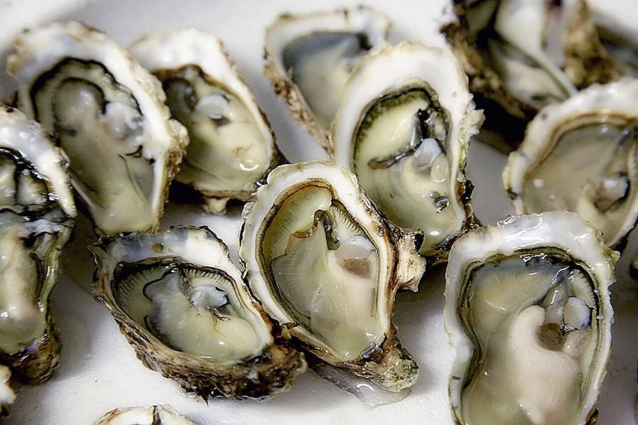 Boracay Christmas Staycation Indulge in Fresh Oysters