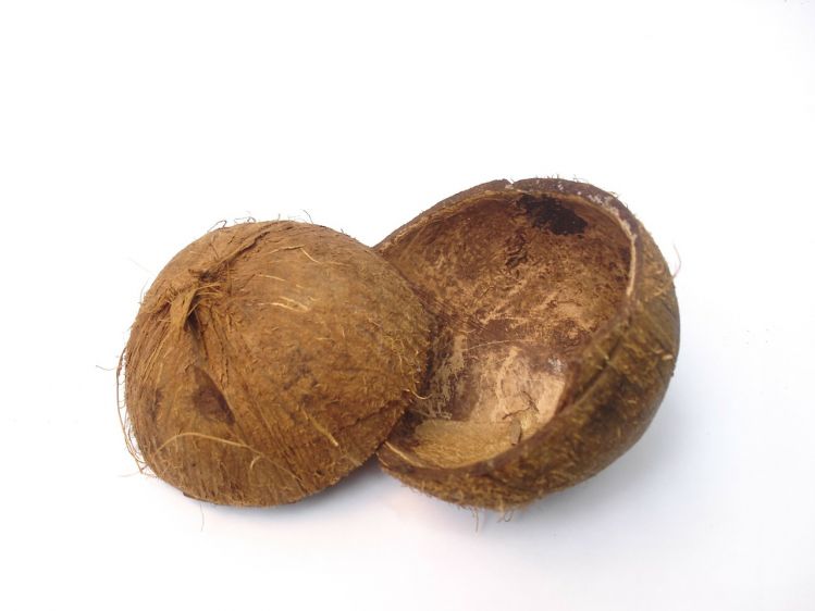 coconot for sangkayaw filipino game