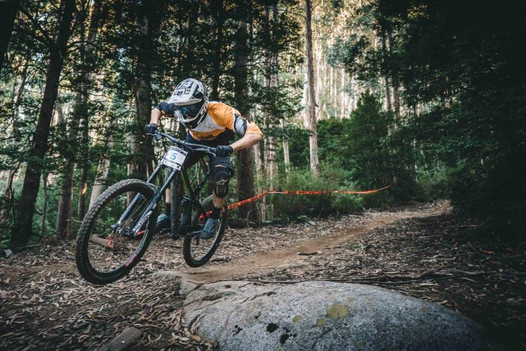 Mountain Biking Trails To Train Your Stamina for the Holidays