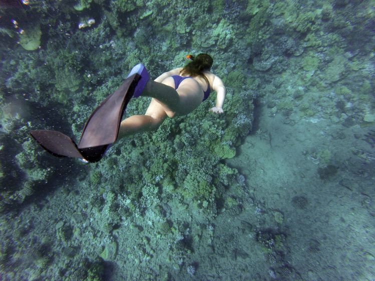 girl free diving boracay
