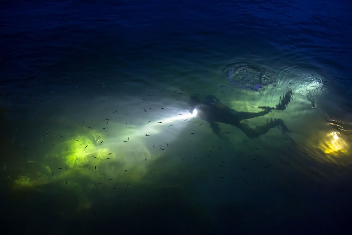 night-scuba-diving-2018-02-08-05-34-large