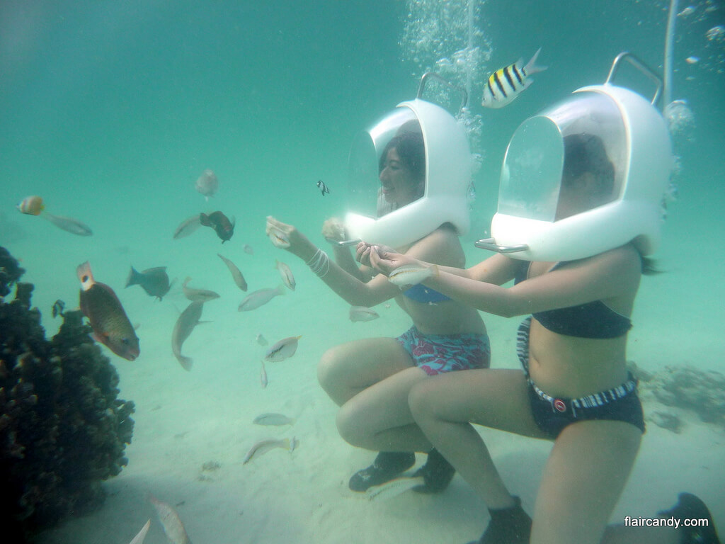 boracay stay swimming with fishes